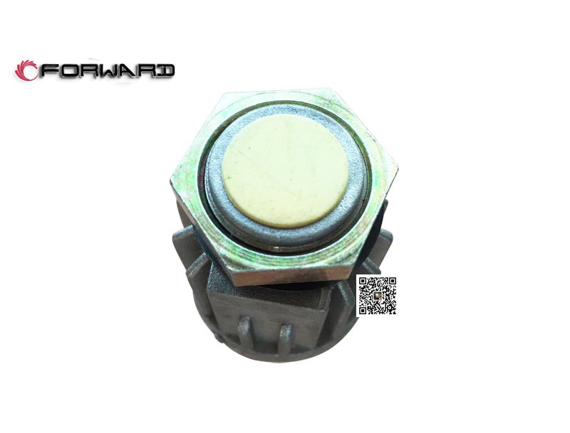 DZ91189582018,Brake switch,济南向前汽车配件有限公司
