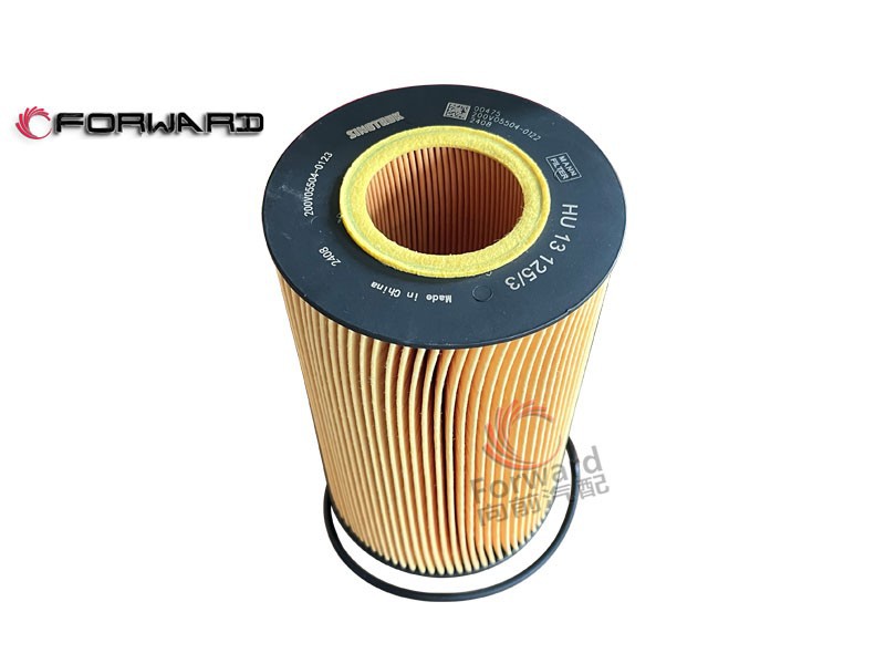 201V12503-0062 燃油滤芯-带O型圈,Fuel filter element - with O-ring,济南向前汽车配件有限公司