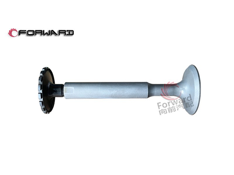 4.06.06  进气门,Intake valve,济南向前汽车配件有限公司