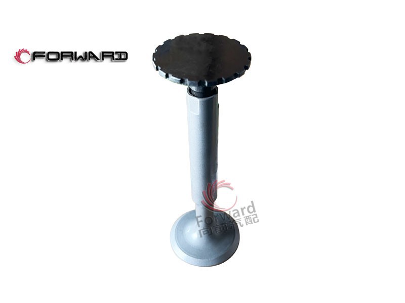4.06.06  进气门,Intake valve,济南向前汽车配件有限公司