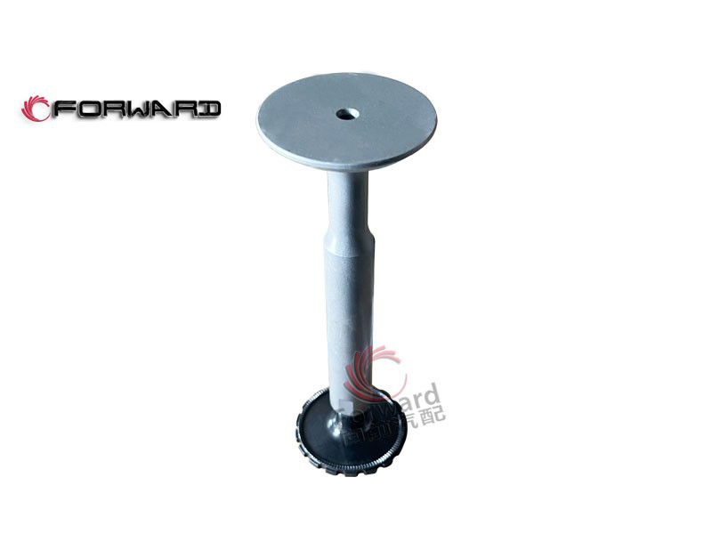 4.06.06  进气门,Intake valve,济南向前汽车配件有限公司
