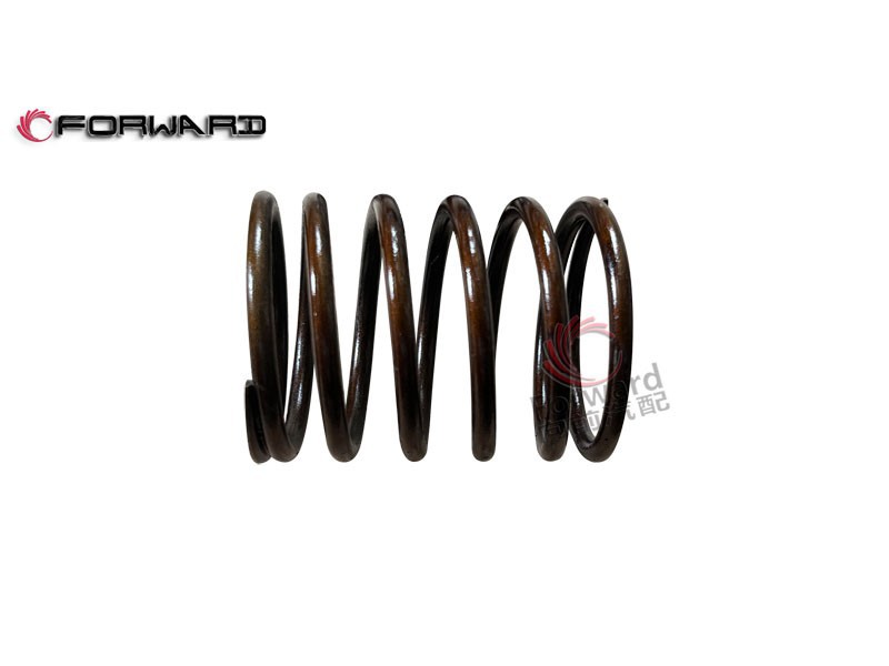 4.06.165F 气门弹簧,Valve spring,济南向前汽车配件有限公司