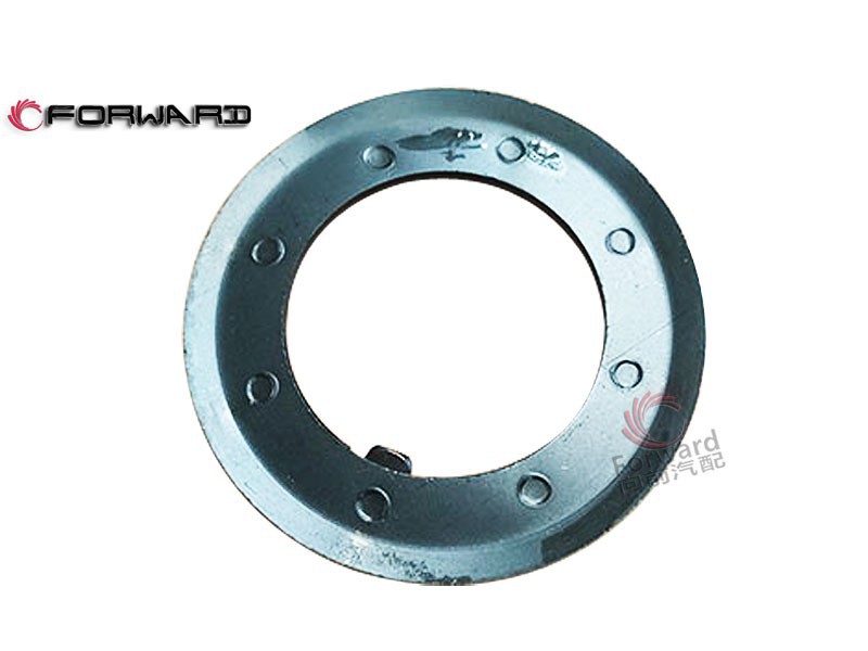 WG2229040310  锁紧螺母垫圈及锁片,Main shaft lock plate,济南向前汽车配件有限公司