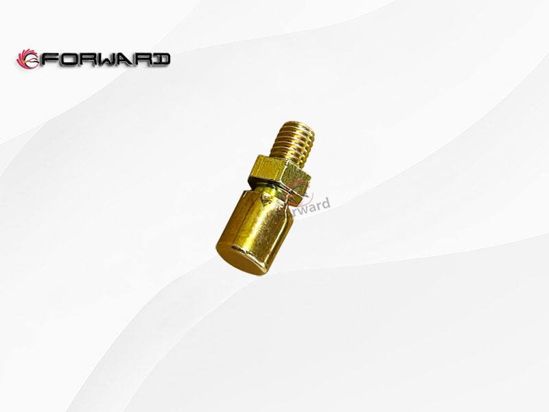 DZ95259520310  通氣螺栓,Ventilation bolt,濟(jì)南向前汽車配件有限公司