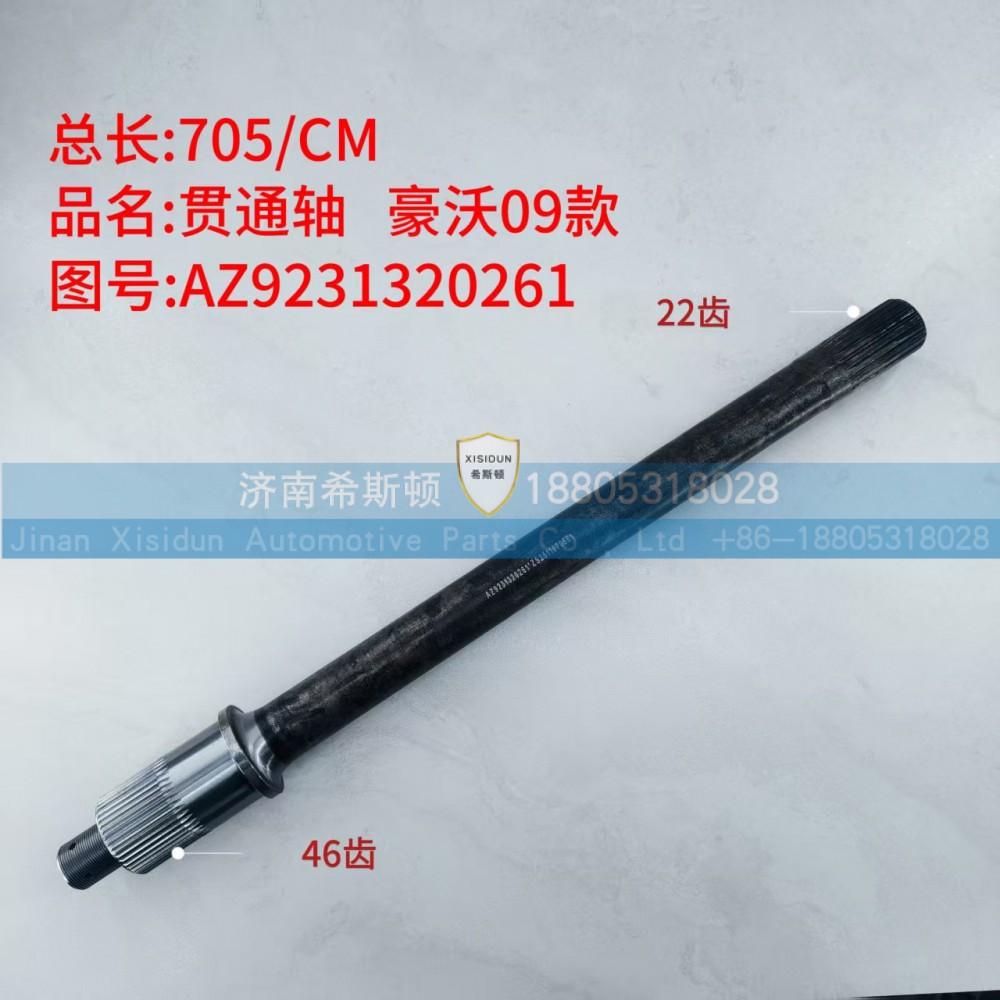 豪沃09款贯通轴46齿，22齿AZ9231320261