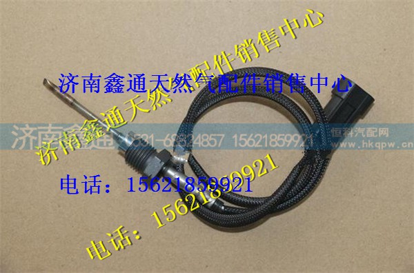 中国重汽国四排气温度传感器