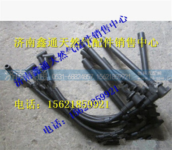 玉柴天然气发动机缸线