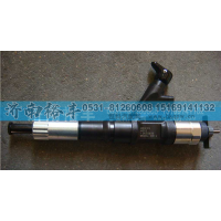 VG1246080051,喷油器总成,济南裕丰汽车配件销售中心