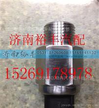 202V27421-0263,重汽曼MC11燃油傳感器,濟(jì)南裕豐汽車配件銷售中心