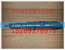 610800080073,电喷发动机喷油器总成,济南裕丰汽车配件销售中心