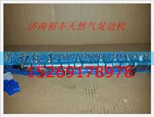 610800080061,电喷发动机共轨管总成,济南裕丰汽车配件销售中心
