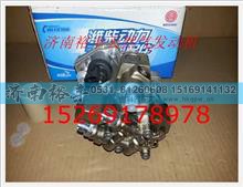 610800080072,电喷发动机喷油泵共轨泵总成,济南裕丰汽车配件销售中心