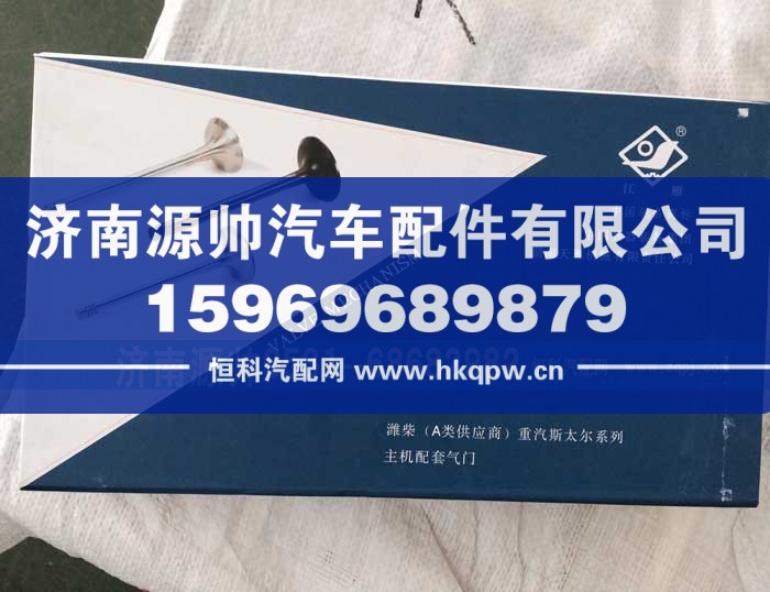 欧2进排气门江雁