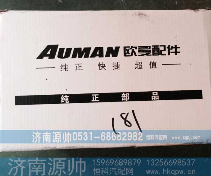 ,欧曼举升泵,济南源帅汽车配件有限公司