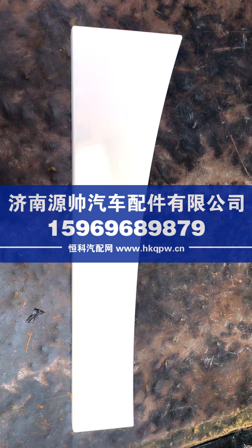 TX左前翼子板后段 WG1664235305