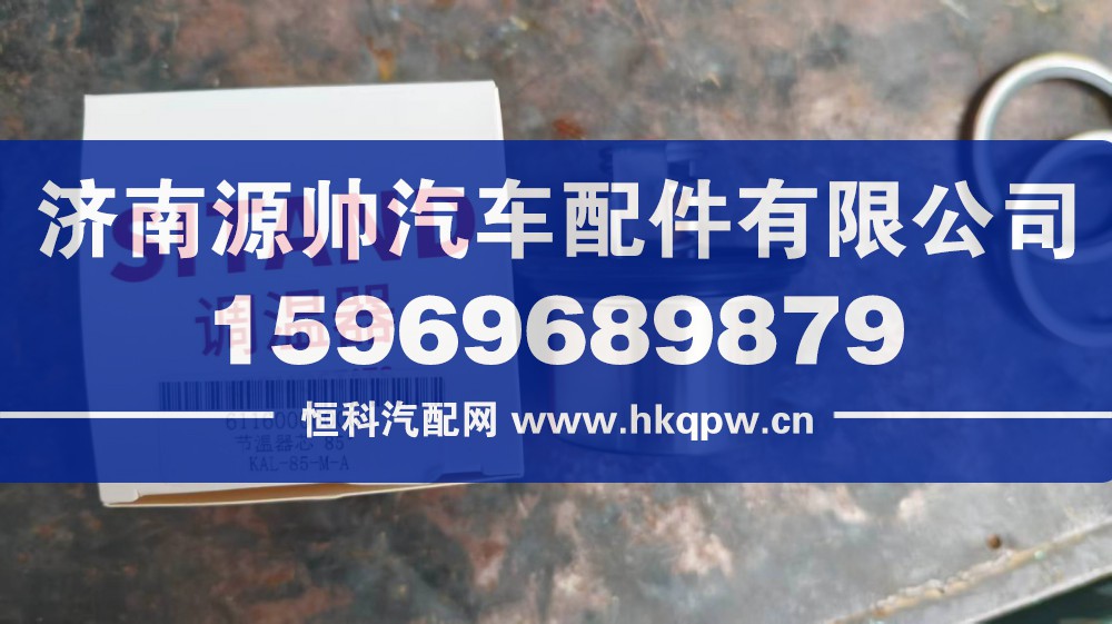 潍柴节温器芯85度 型号611600060005