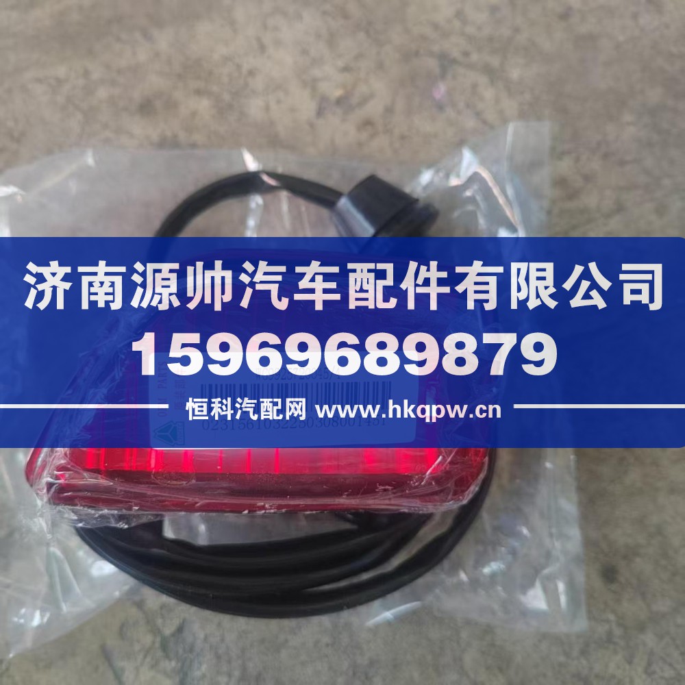 汕德卡T7后示廓灯 WG9925720045