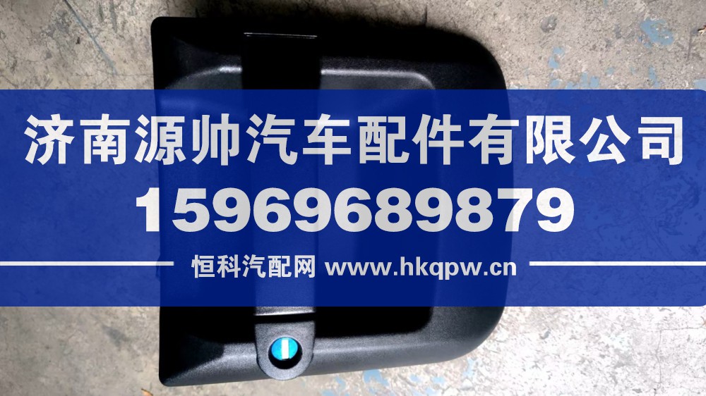 T5G左外把手   810W62641-6079