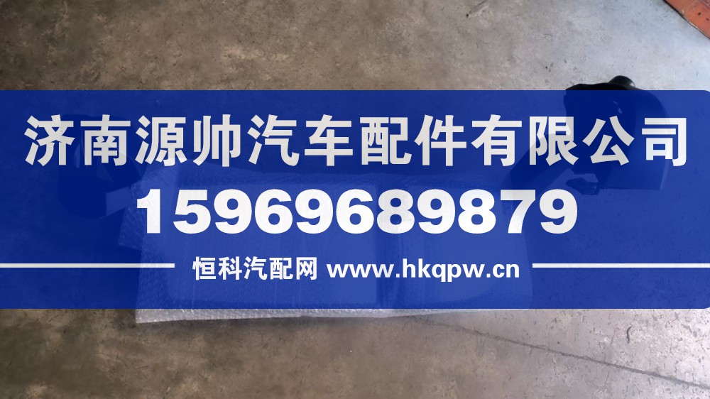 T7H左倒车镜总成  WG1664778081