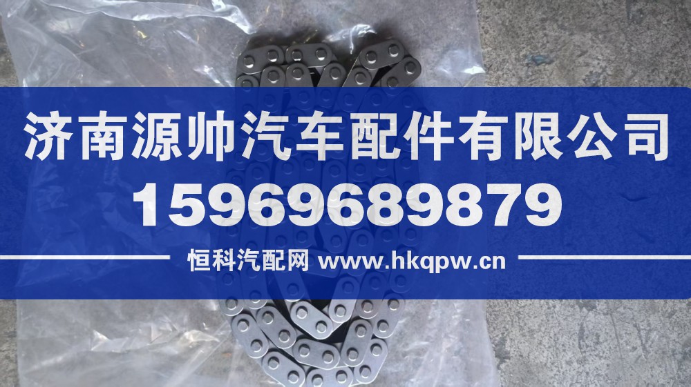 錫柴凸輪軸驅(qū)動鏈條上導軌總成  10260510D