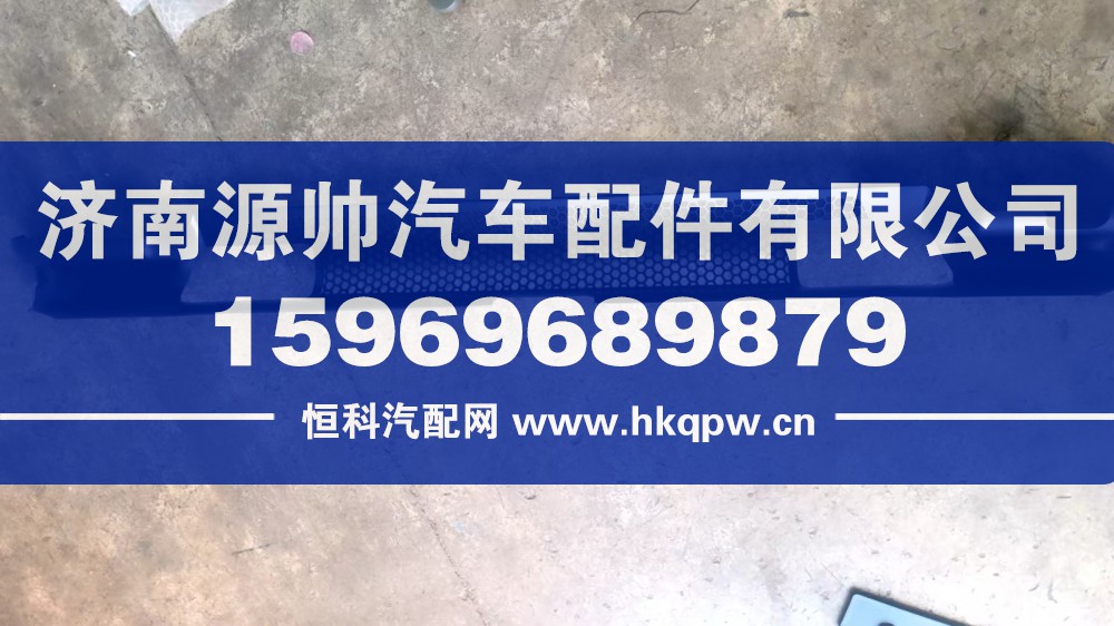 T5G前翻轉(zhuǎn)軸裝飾板  WG1662115025