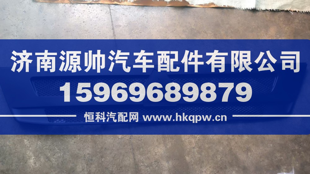 T5G前面罩中網(wǎng)  WG1662115016