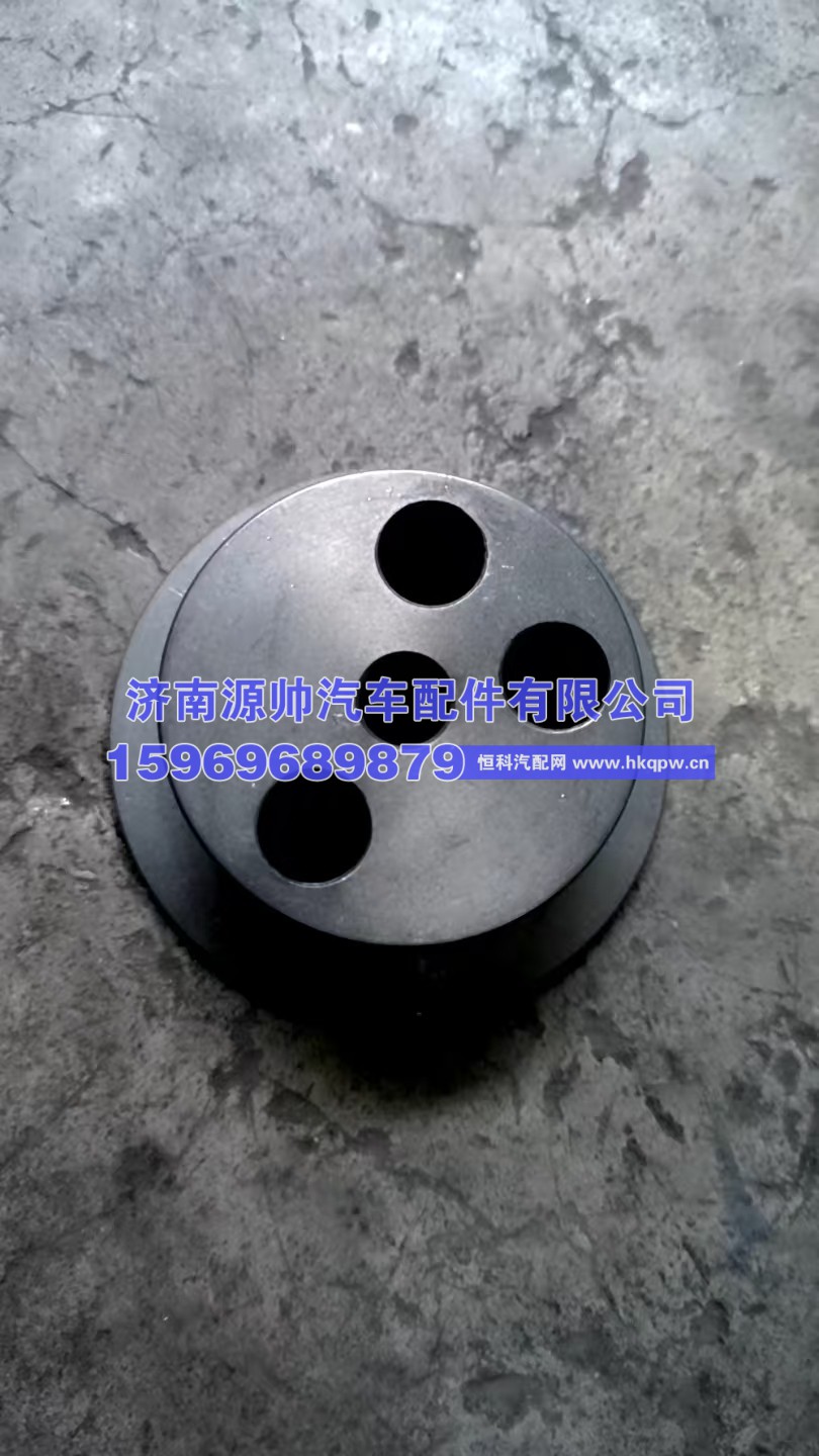 重汽曼前中间齿轮    200V11302-0053