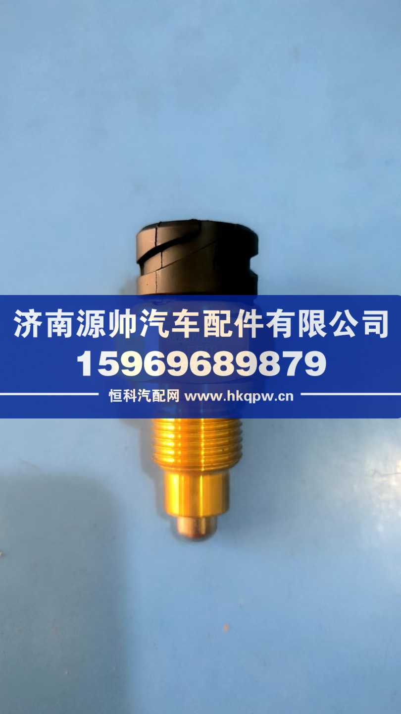 豪沃壓力開(kāi)關(guān)  WG2209280029