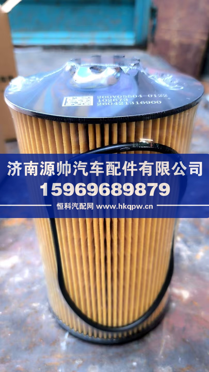 重汽机油滤芯  200V05504-0122