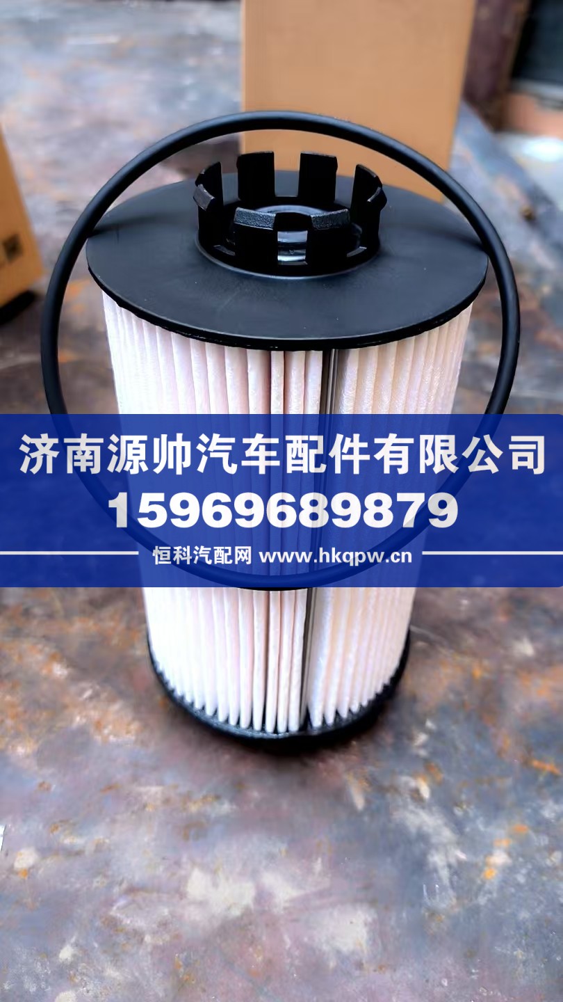 重汽曼燃油滤清器芯  带O型圈  201V12503-0062