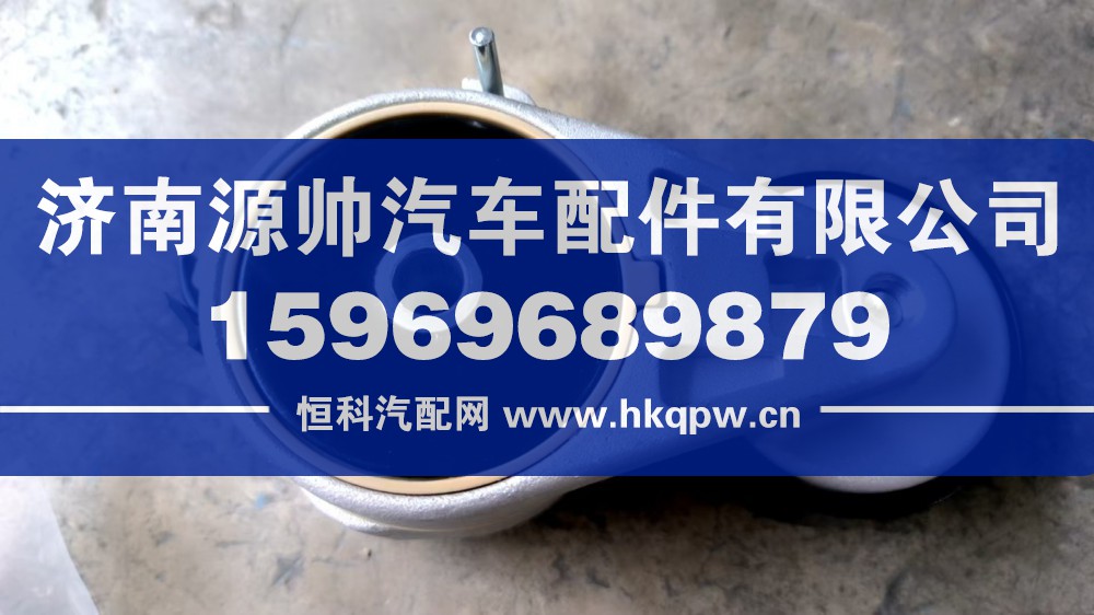 濰柴張緊輪   1001319530D