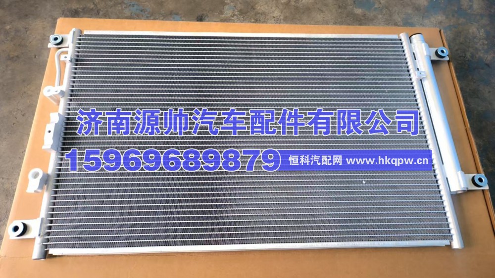 徐工冷凝器总成   81WLAM111-050