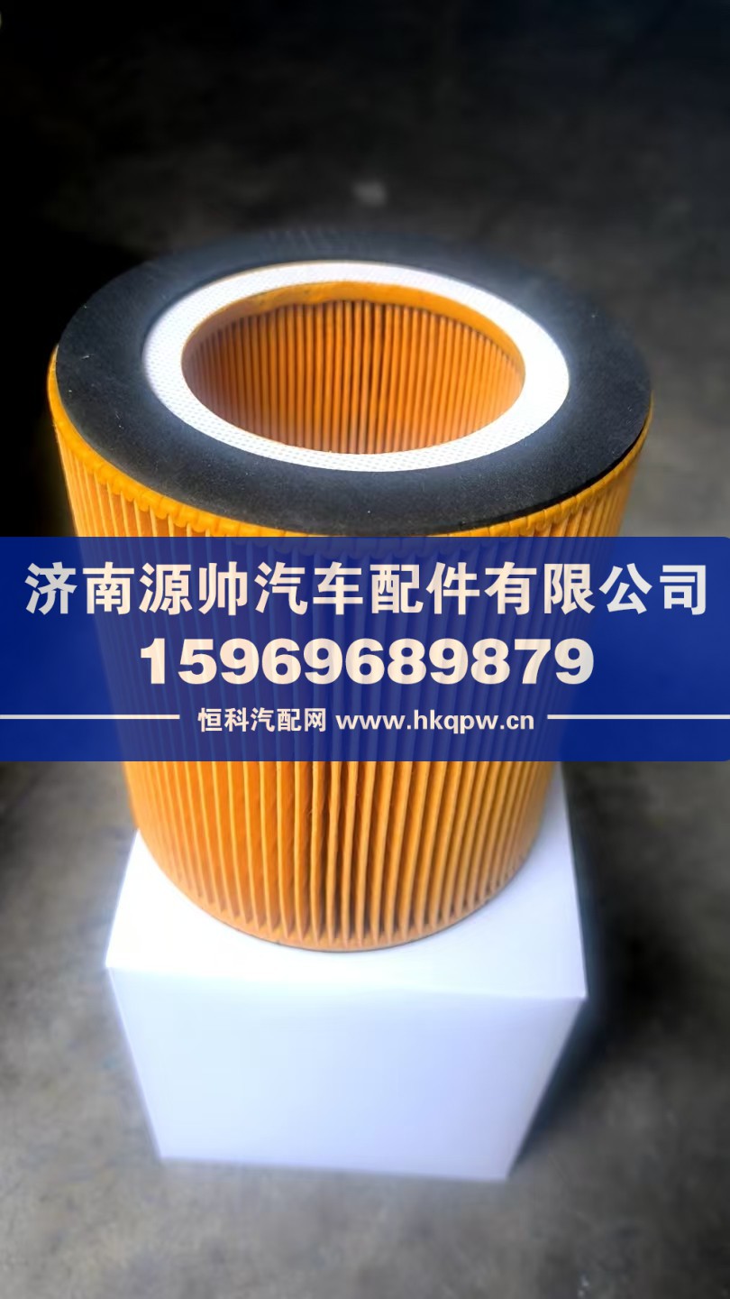 新能源空壓機(jī)濾芯C1250-W5106040