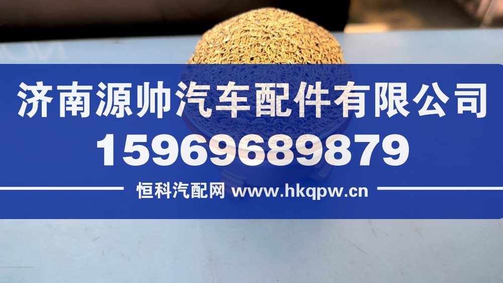 福伊特浮球閥  WG15300830120