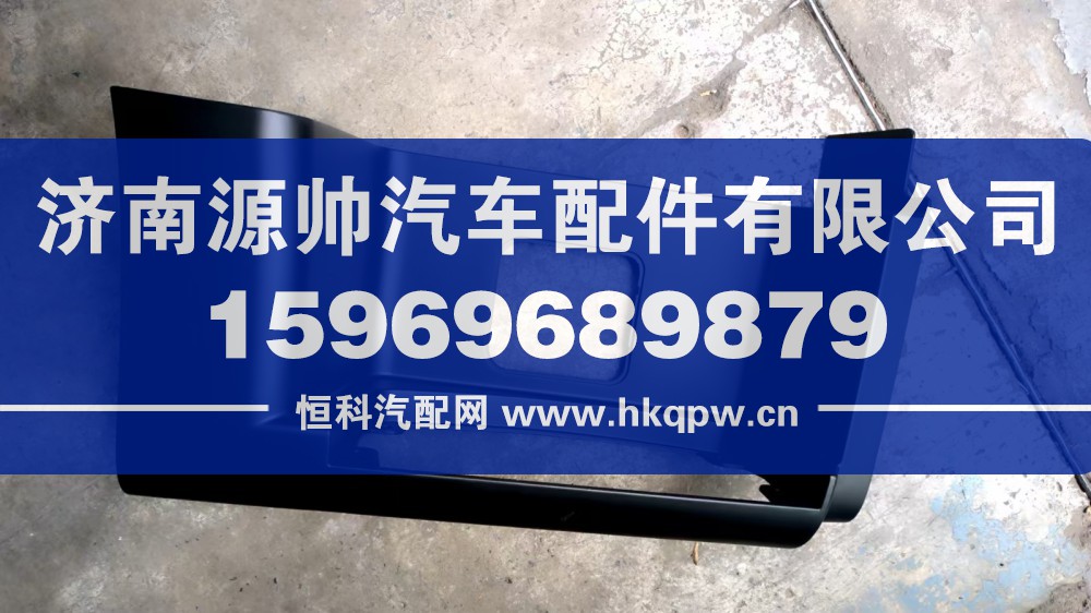 TX右踏板  WG1664248116