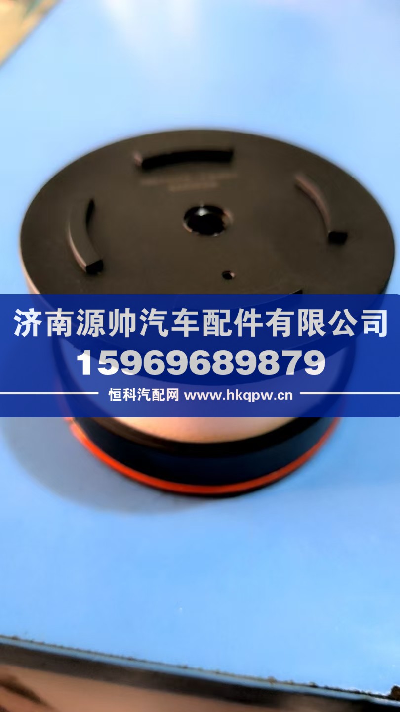 法士特浮子閥濾芯小總成 HN400A-13401