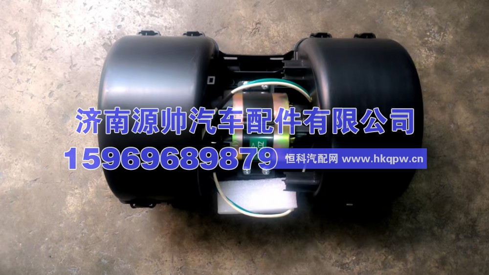T5G暖风电机  811W61942-0002
