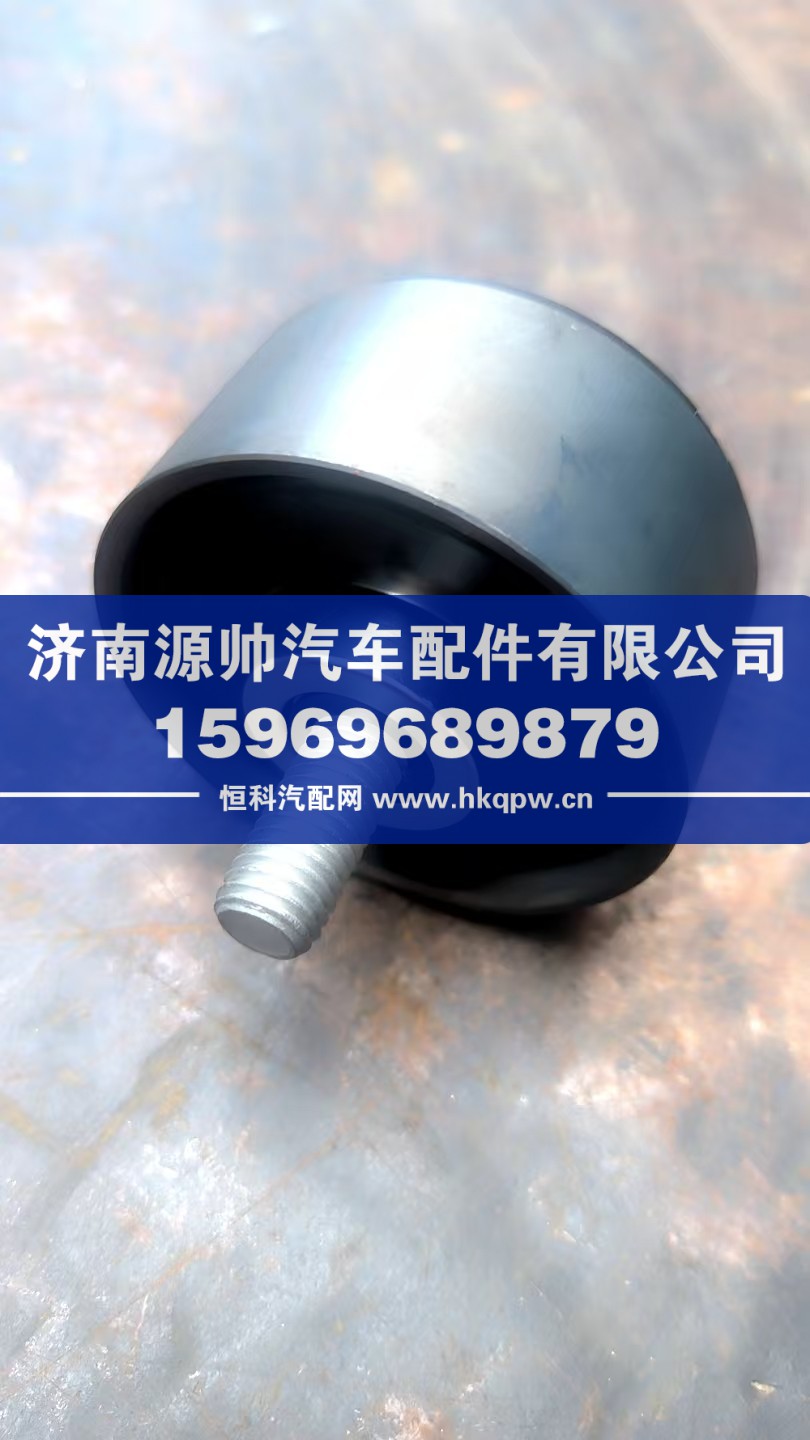 重汽曼平惰輪   202V95800-6098