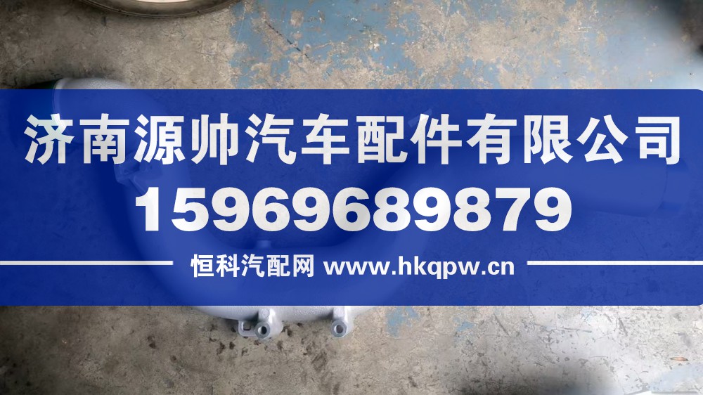 重汽曼中冷前進(jìn)氣管   202V09411-5199