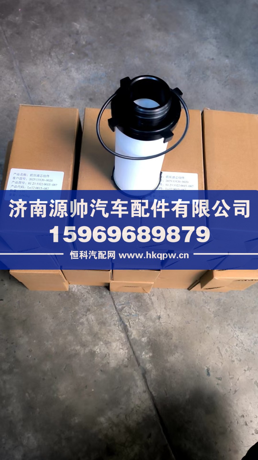 重汽天然氣濾芯    202V13120-0020