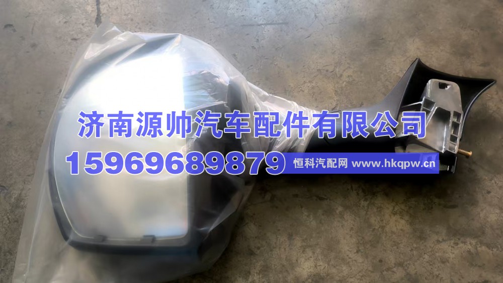T5前下视镜 812W-63730-6656