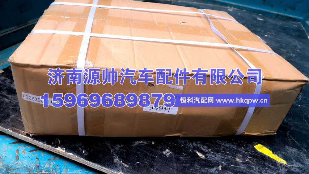 潍柴涨紧轮 612630061185