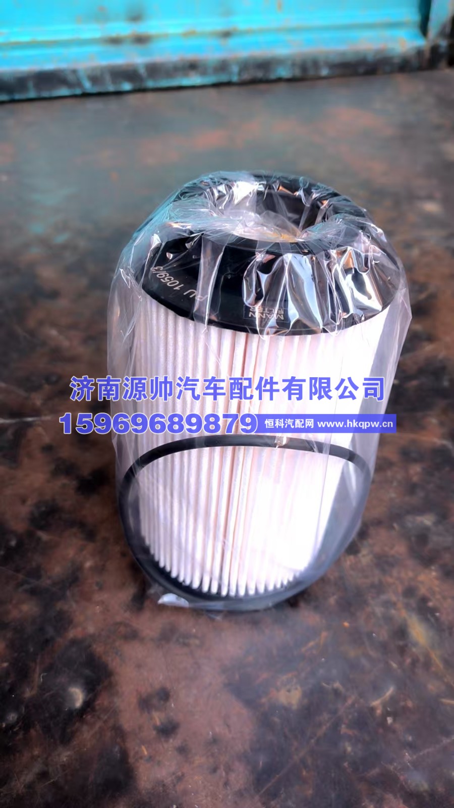 重汽燃油滤清器芯 带0型圈 201V12503-0062
