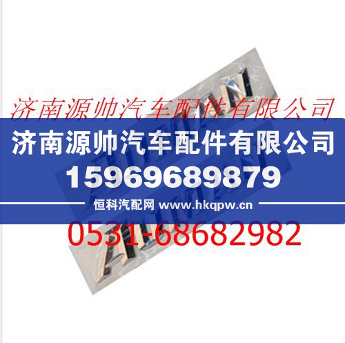 FH0506010084A0A0593,欧曼新款ETX前标,济南源帅汽车配件有限公司
