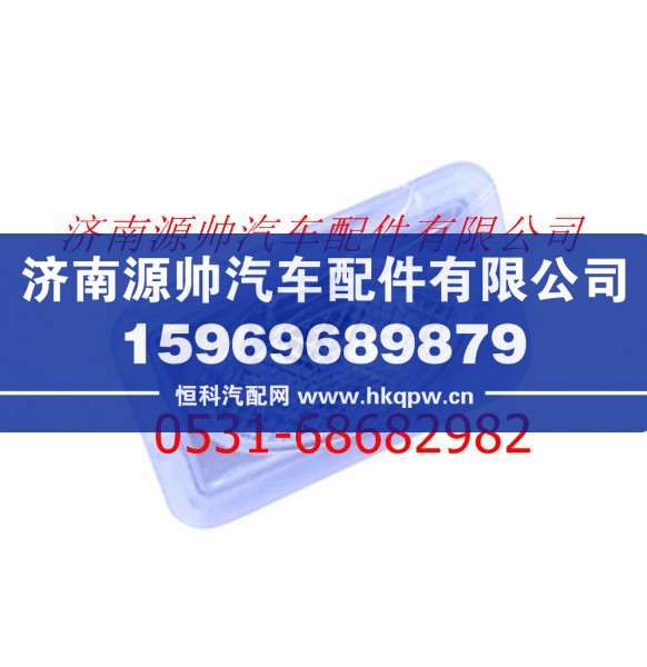 欧曼GTL踏步灯(右)