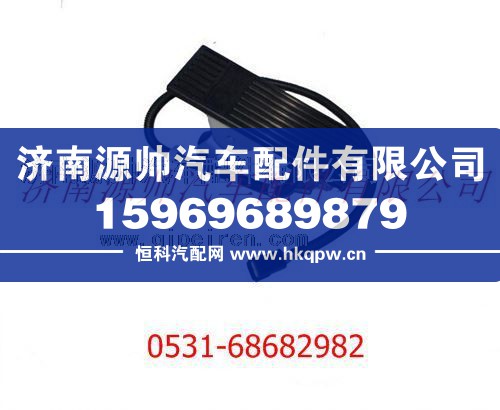 DZ93189570083,陕汽德龙F3000电子油门踏板,济南源帅汽车配件有限公司