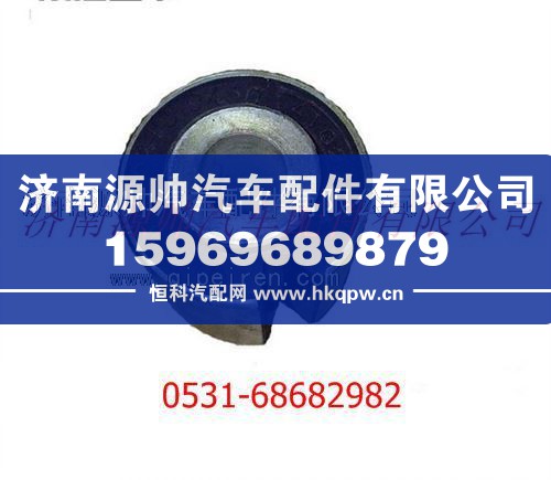 陕汽德龙F3000翻转杠衬套