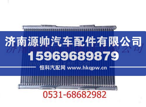 陕汽德龙F3000冷凝器