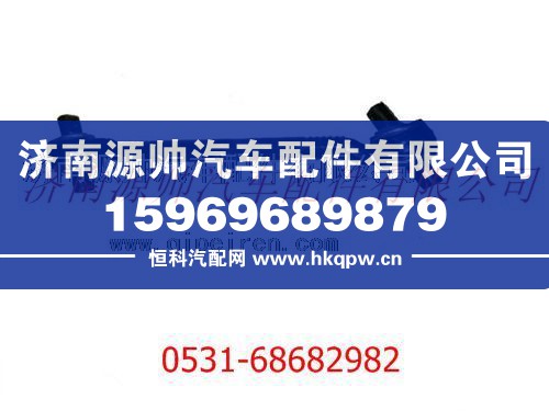 陜汽德龍F3000推力桿