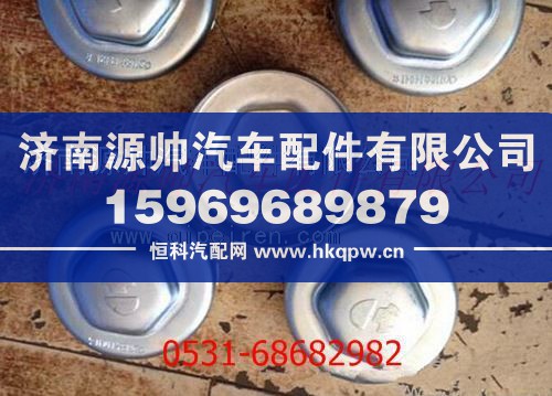 陕汽德龙前轮毂帽
